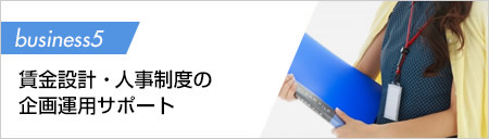 賃金設計・人事制度の企画運用サポート